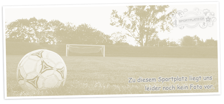 Sportplatz - Fußballplatz Waldenbuch (71111)